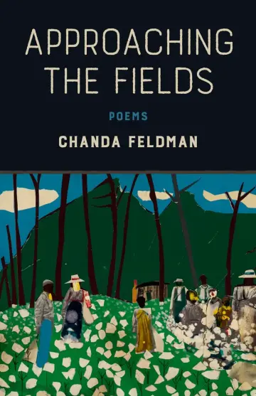 Cover of Approaching the Fields