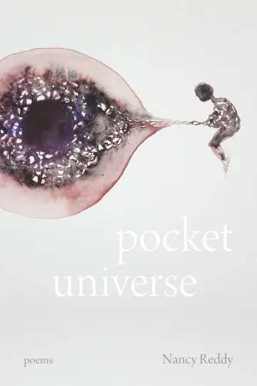 Cover of Pocket Universe