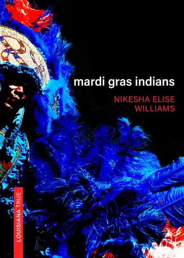 Cover of Mardi Gras Indians