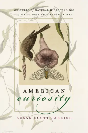 Cover of American Curiosity