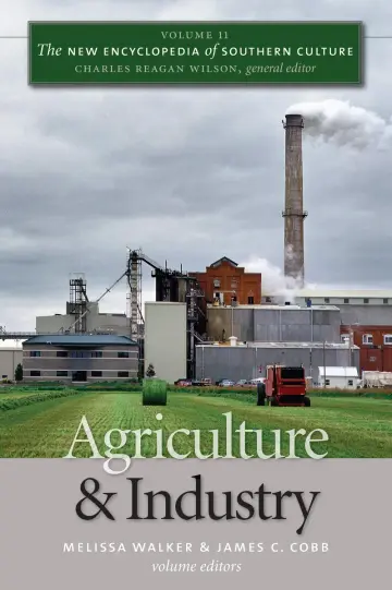 Cover of The New Encyclopedia of Southern Culture