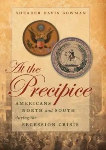 Cover of At the Precipice