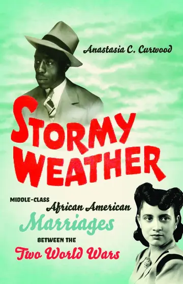 Cover of Stormy Weather
