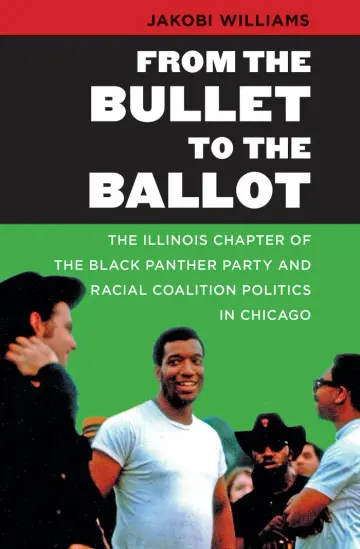 Cover of From the Bullet to the Ballot