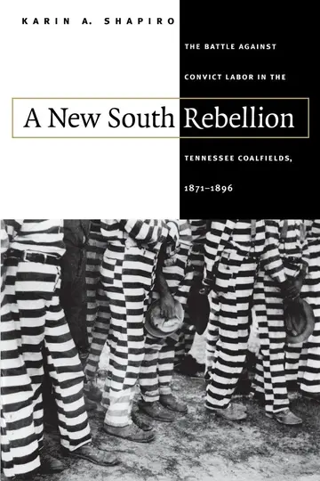 Cover of A New South Rebellion
