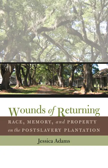 Cover of Wounds of Returning