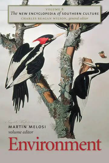 Cover of The New Encyclopedia of Southern Culture