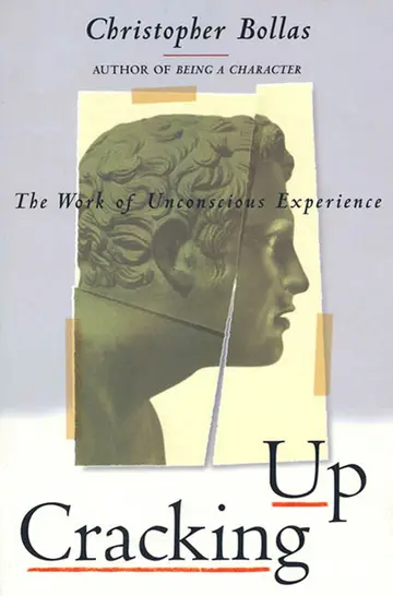 Cover of Cracking up