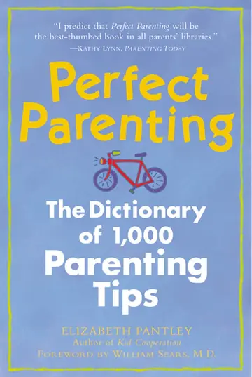 Cover of Perfect Parenting