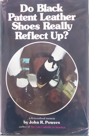 Cover of Do Black Shoes Reflect up