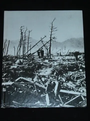 Cover of The fall of Japan