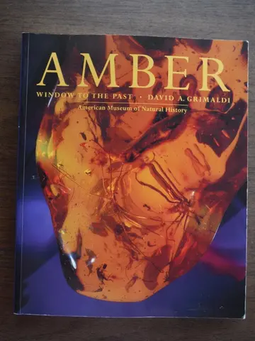 Cover of Amber