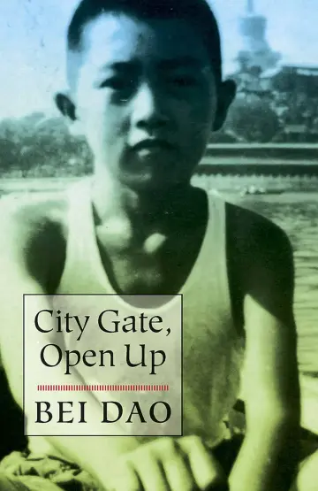 Cover of City Gate, Open up