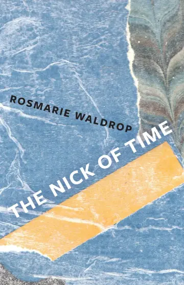 Cover of The Nick of Time