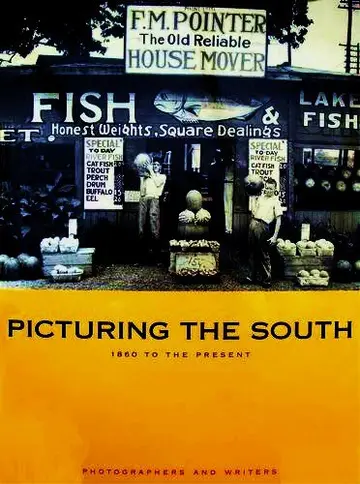 Cover of Picturing the South