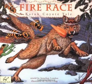 Cover of Fire Race