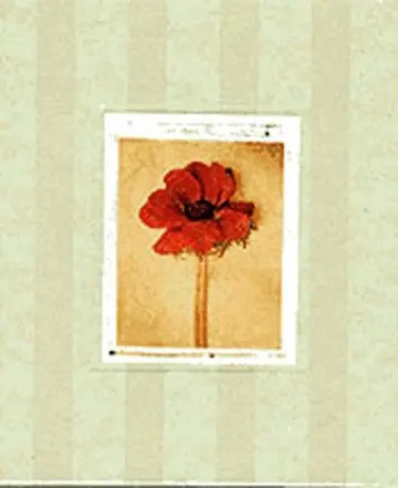 Cover of Deb Schenck Floral Photo Frame
