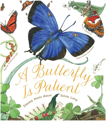 Cover of A Butterfly Is Patient