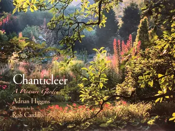 Cover of Chanticleer