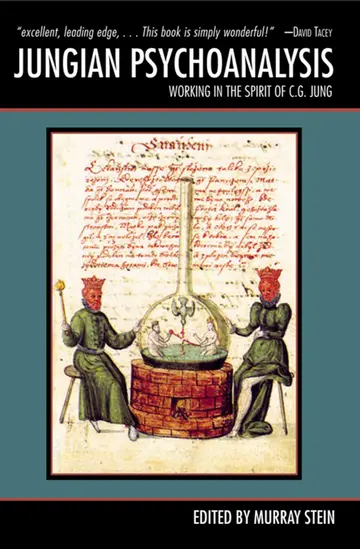 Cover of Jungian Psychoanalysis