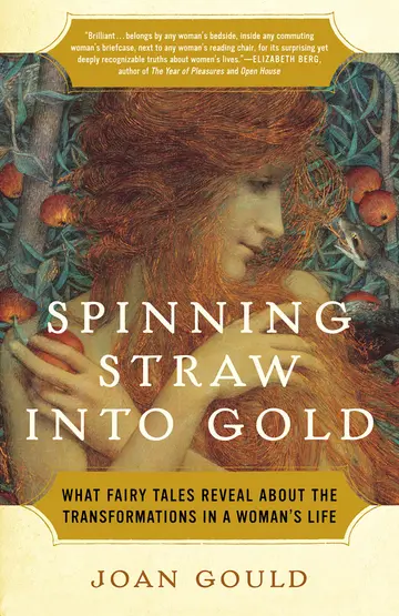 Cover of Spinning Straw into Gold
