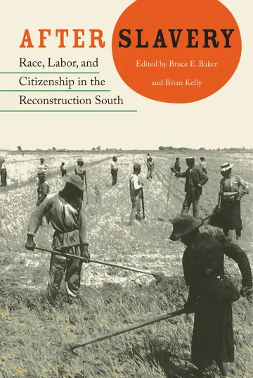 Cover of After Slavery