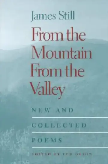Cover of From the Mountain, from the Valley