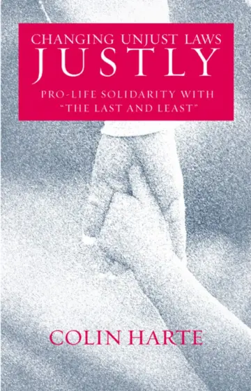Cover of Changing Unjust Laws Justly