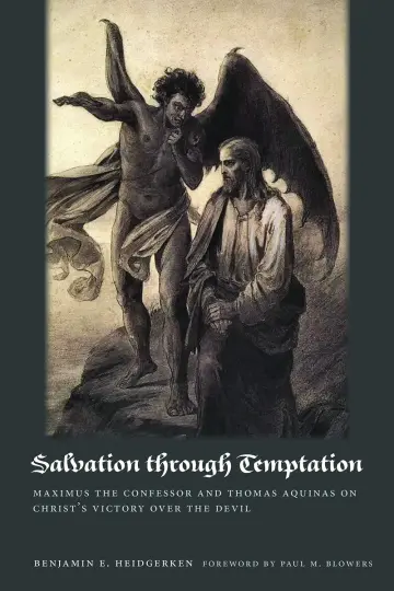 Cover of Salvation through Temptation
