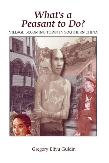 Cover of What's A Peasant to Do? Village Becoming Town in Southern China