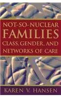 Cover of Not-So-Nuclear Families