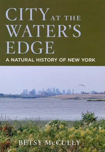 Cover of City at the Water's Edge