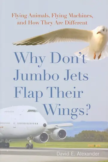 Cover of Why Don't Jumbo Jets Flap Their Wings?