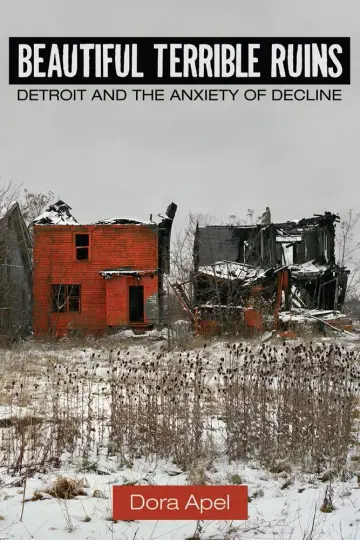 Cover of Beautiful Terrible Ruins