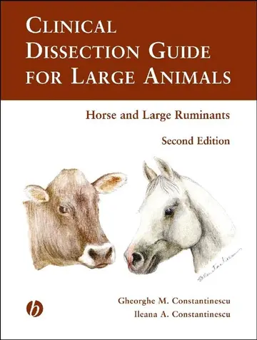Cover of Abnormal Morphology of Bovine Spermatozoa