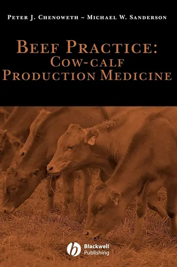 Cover of Beef Practice