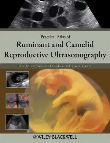 Cover of Practical Atlas of Ruminant and Camelid Reproductive Ultrasonography