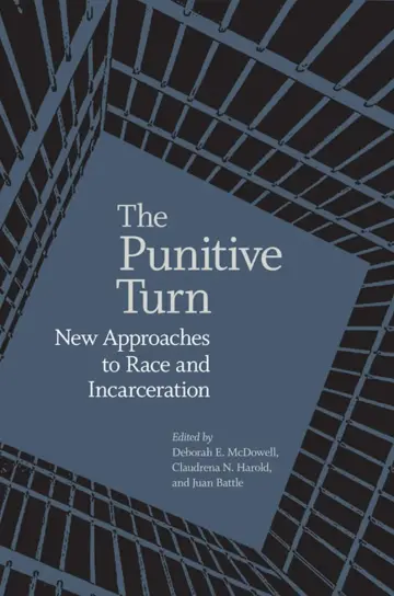 Cover of The Punitive Turn