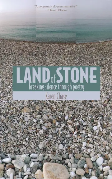 Cover of Land of Stone