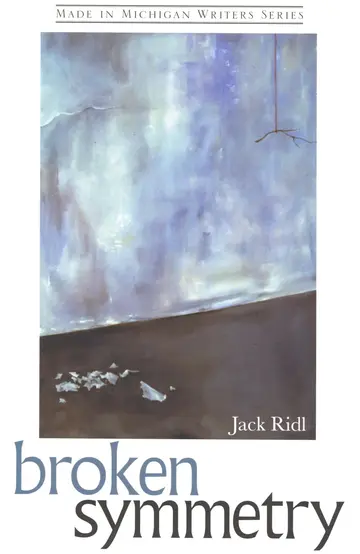 Cover of Broken Symmetry