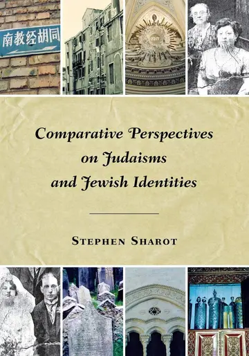 Cover of Comparative Perspectives on Judaisms and Jewish Identities