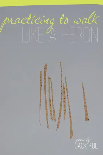 Cover of Practicing to Walk Like a Heron