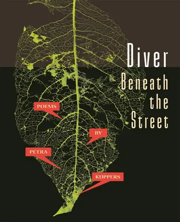 Cover of Diver Beneath the Street