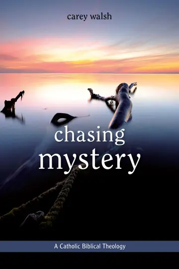 Cover of Chasing Mystery