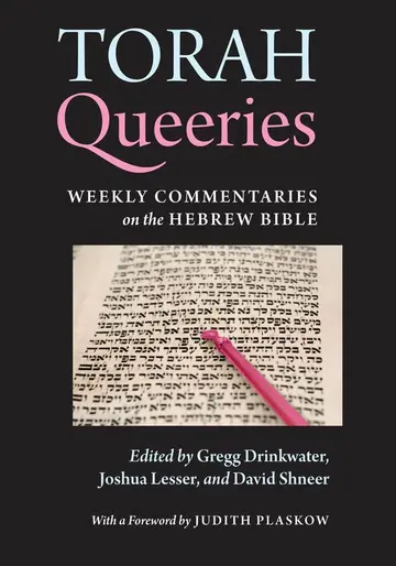 Cover of Torah Queeries