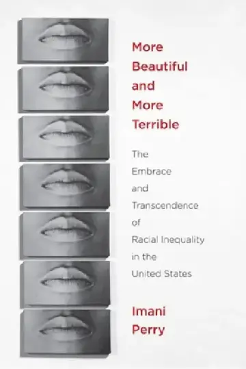 Cover of More Beautiful and More Terrible