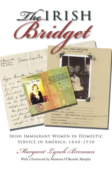 Cover of The Irish Bridget
