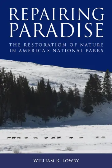 Cover of Repairing Paradise