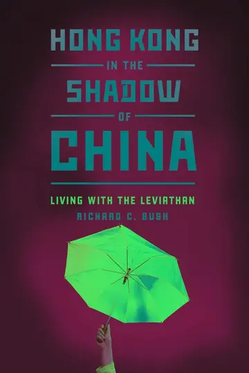 Cover of Hong Kong in the Shadow of China