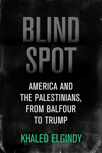 Cover of Blind Spot